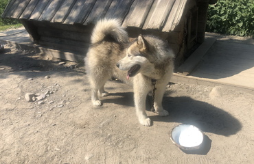 Фотографии тура Тур «Новогодний колорит», 3 дня/2 ночи #5
